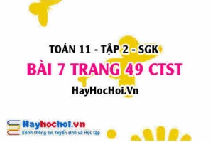 Bài 7 trang 49 Toán 11 tập 2 Chân trời sáng tạo
